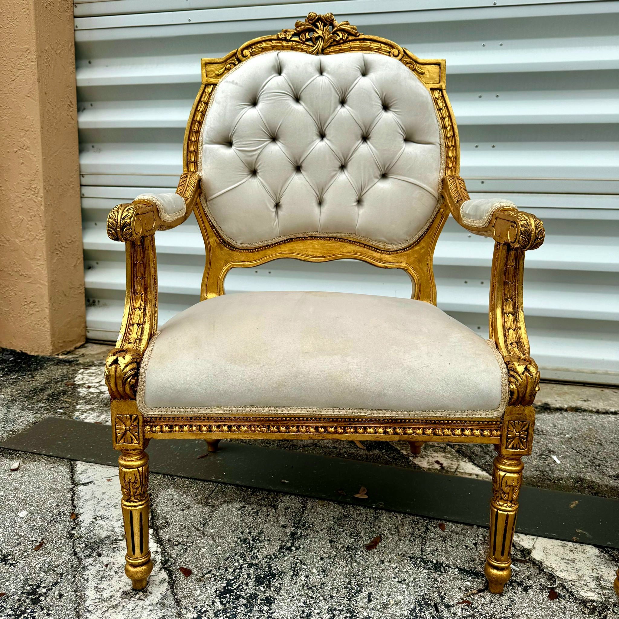 French Style Velvet Chair Set *2 chairs* with Gold Leaf Details Rococo Baroque