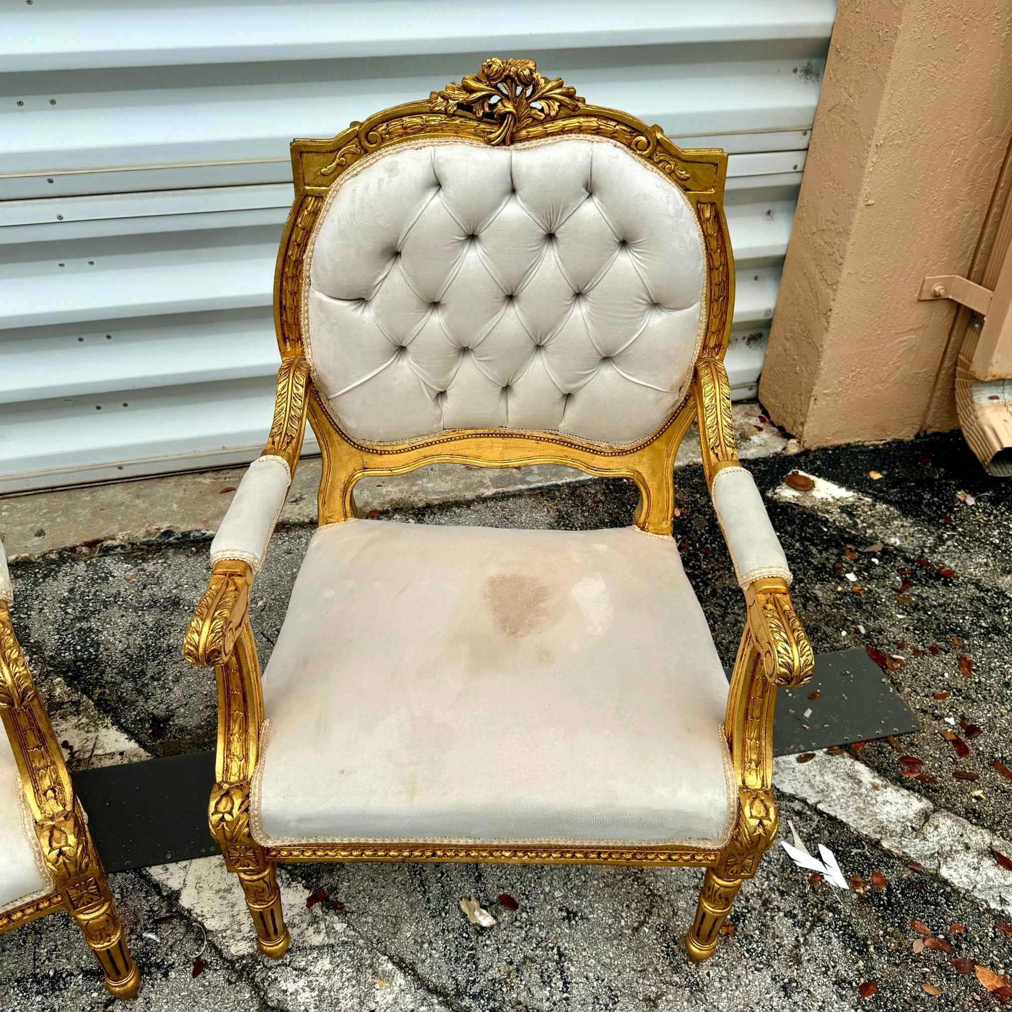 French Style Velvet Chair Set *2 chairs* with Gold Leaf Details Rococo Baroque