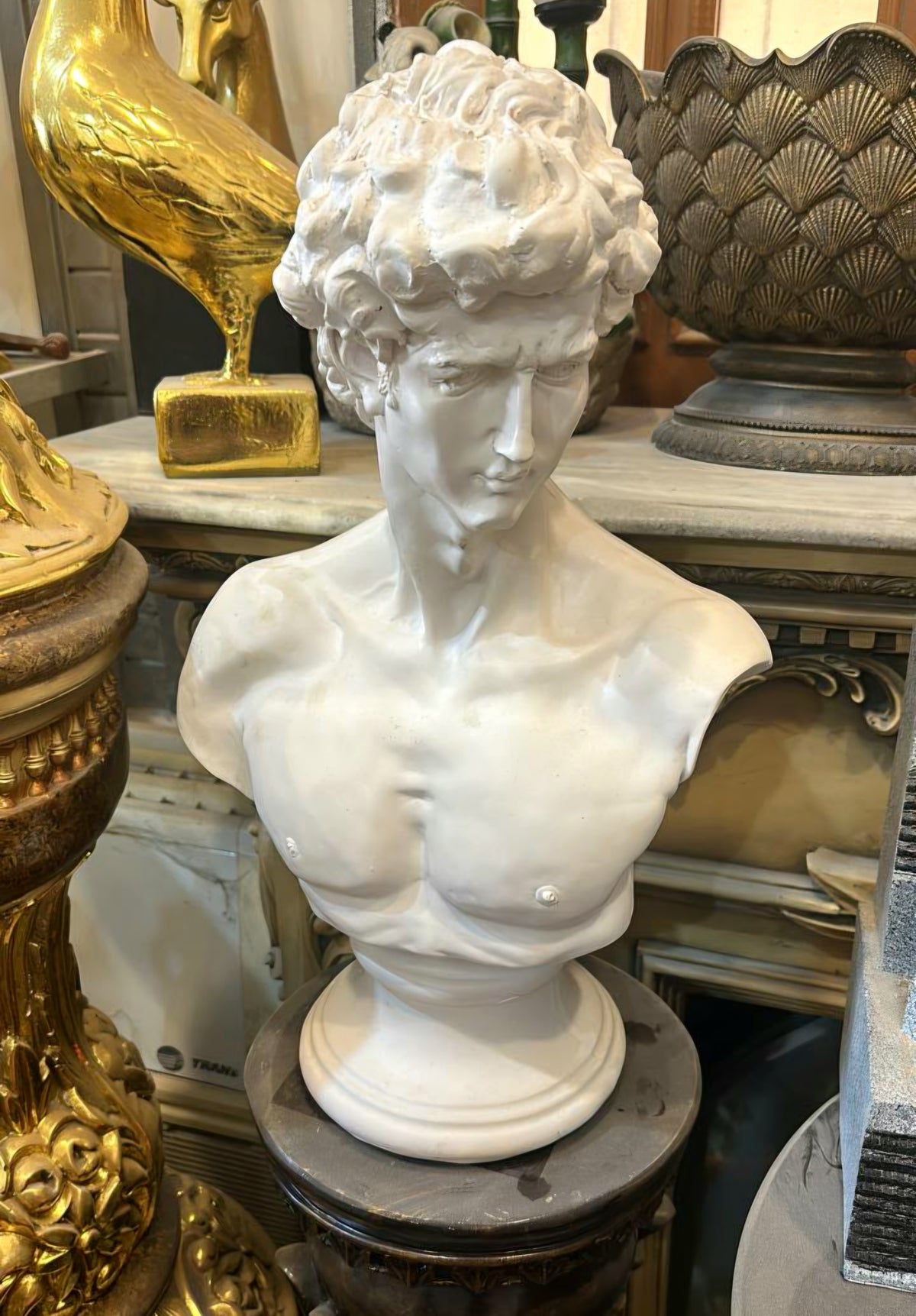 Classical Marble Bust of David – Sculpted Male Figure with Curly Hair and Timeless Greek-Inspired Elegance