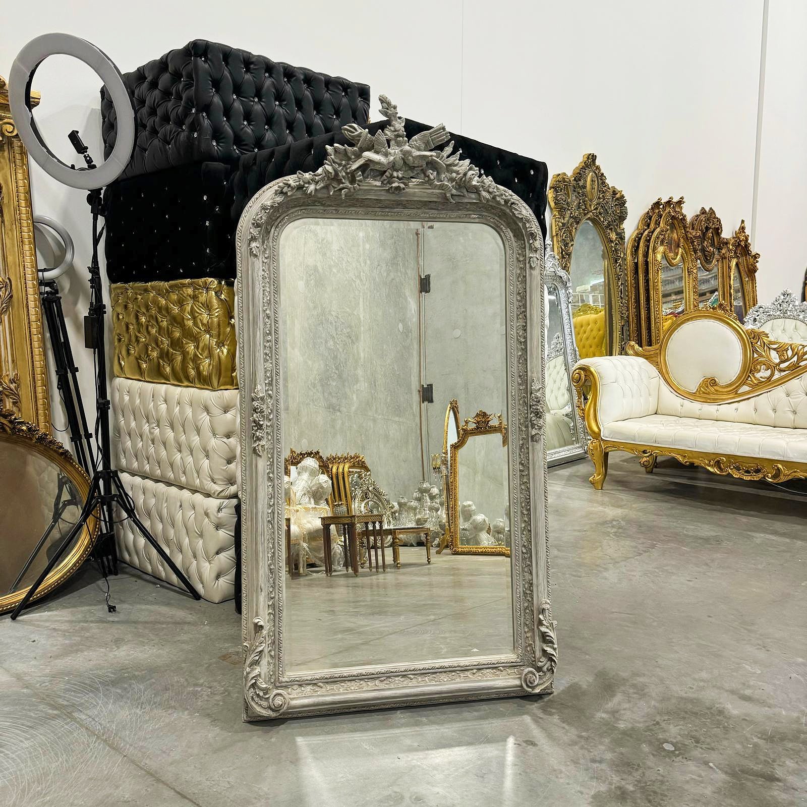 Gray Birds Floor Mirror 5 Feet Tall French Style Vintage Furniture Home Decor