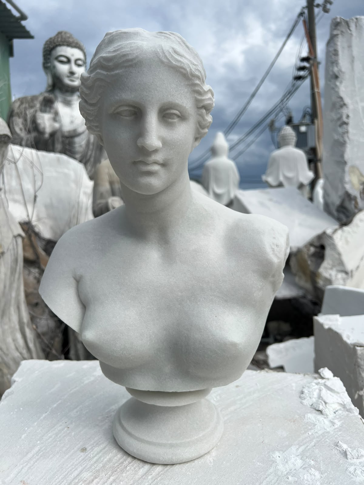 One-of-a-Kind Hand-Carved Natural Marble Bust Sculpture – Bust of Venus de Milo