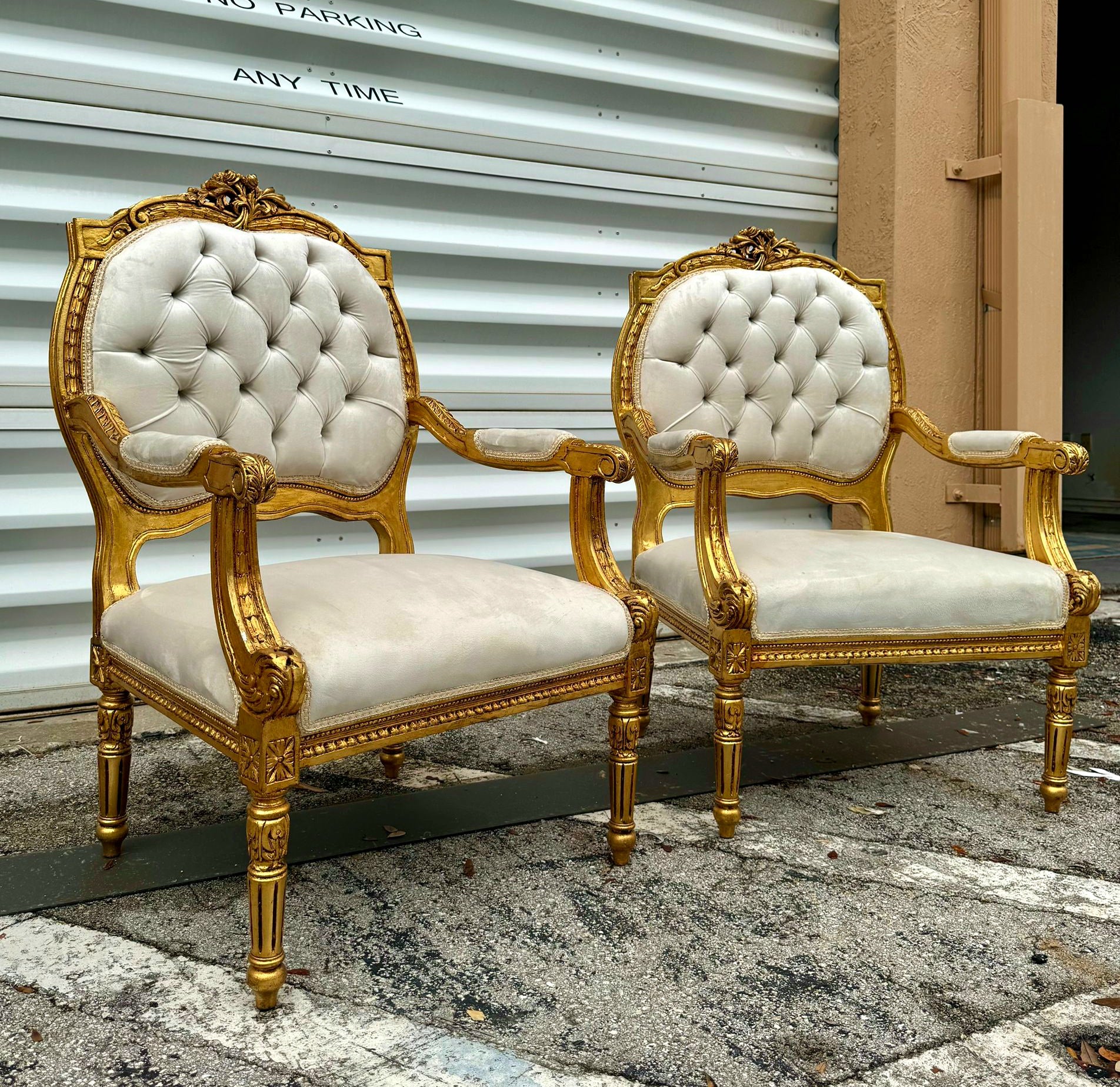 French Style Velvet Chair Set *2 chairs* with Gold Leaf Details Rococo Baroque