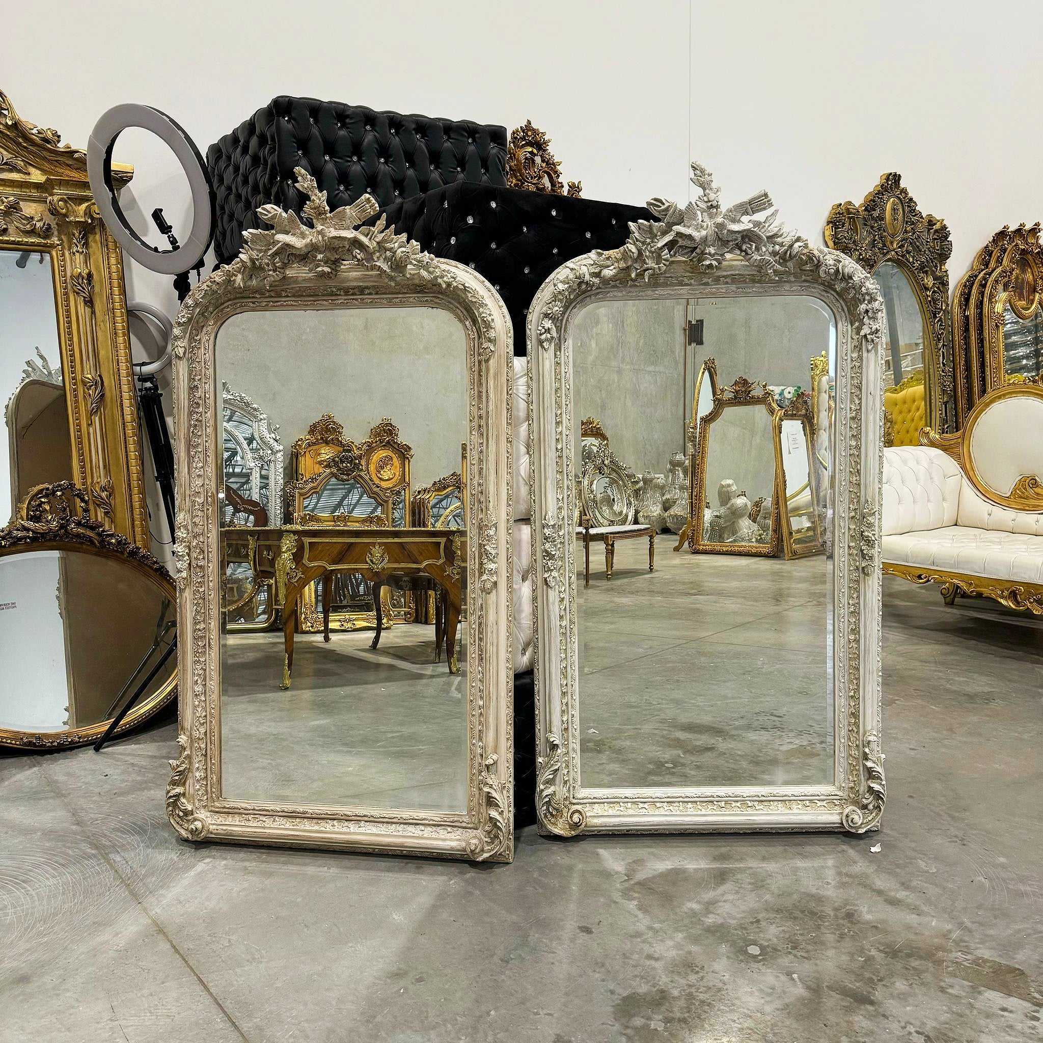 Gray Birds Floor Mirror SET *2 Mirrors* 5 Feet Tall French Style